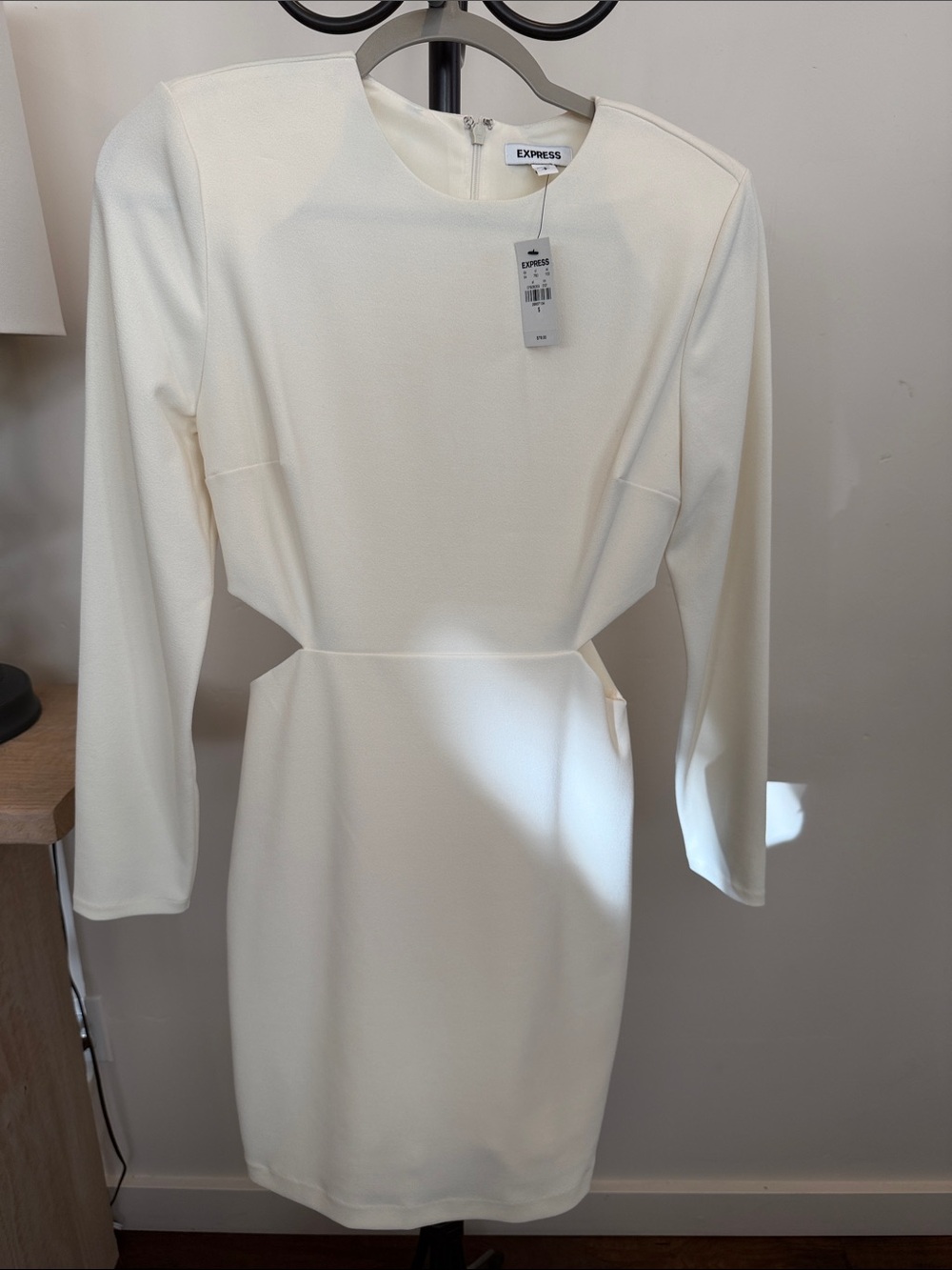Express cut out long sleeved dress